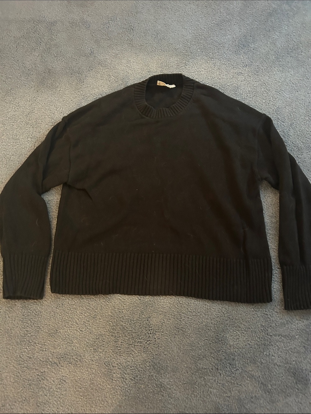 Everlane Boxy Crewneck Sweater